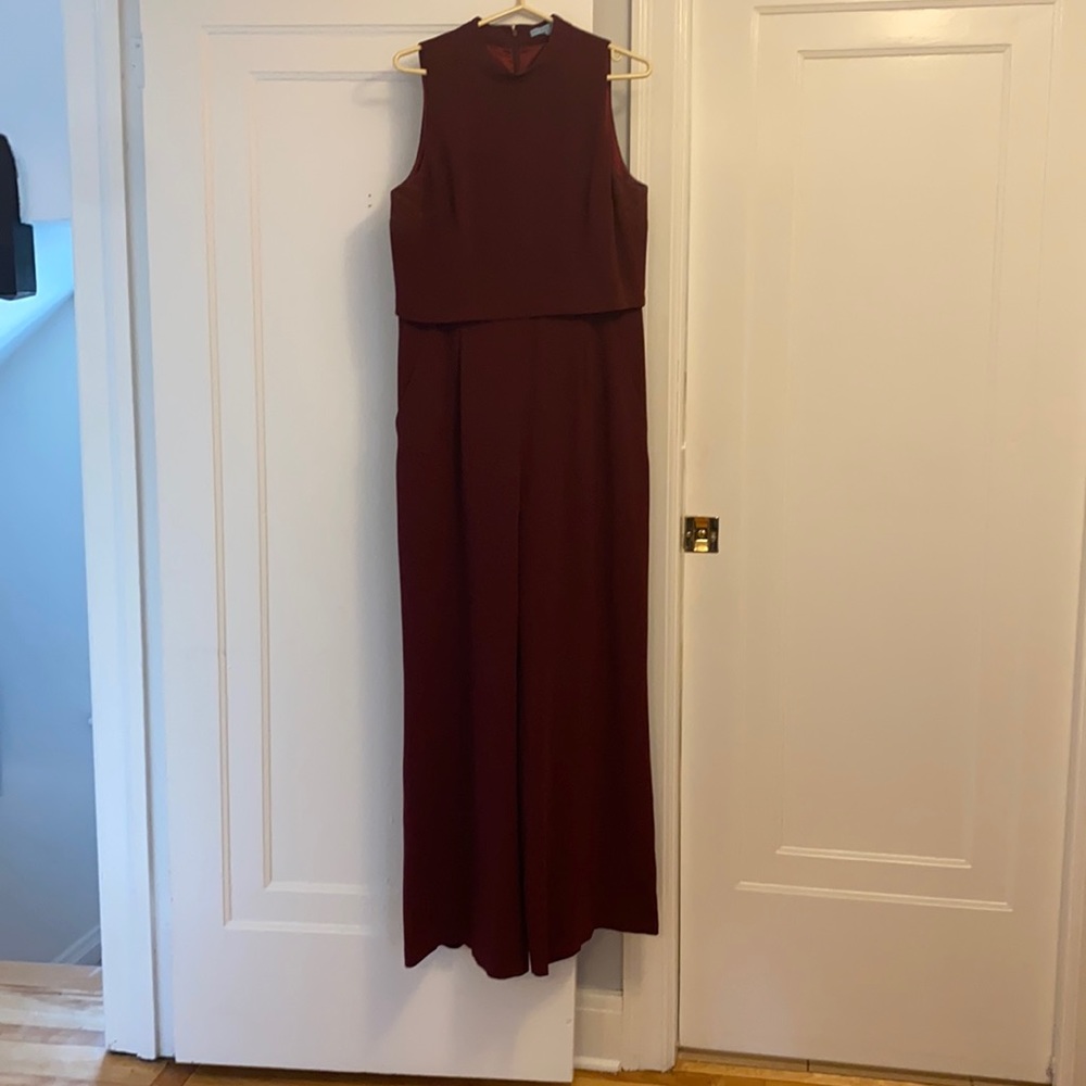 Dillards Dress (Antonio Melani)
